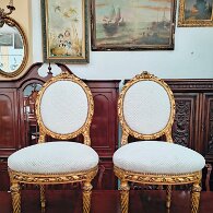 WhatsApp Image 2026-01-21 at 20.27.57